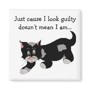 Cute Black Patch Cat With Saying magnet