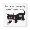Cute Black Patch Cat With Saying magnets