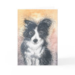 Cute Border Collie Card, For Collie Enthusiasts!