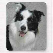 Cute Border Collie Photo Portrait Mousepads