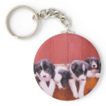 Cute Border Collie Puppies Keychain