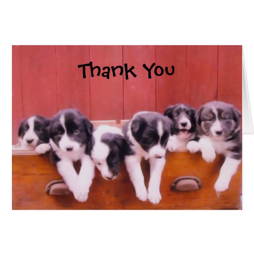 thank you dog clipart - photo #24