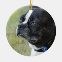 Cute Boston Terrier Christmas Ornament