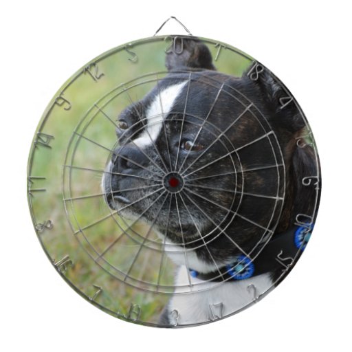 Cute Boston Terrier Dart Boards