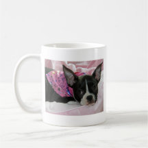 Cute Boston Terrier Puppy Mug