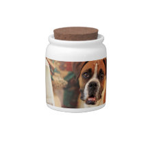Cute Boxer Candy Dish