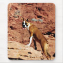 Cute Boxer Dog 1 mousepads