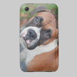 Cute boxer dog casemate cases