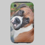 Cute boxer dog casemate cases