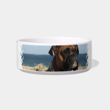 Cute Boxer Dog  Pet Bowl Cat Food Bowls