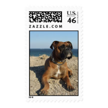 Cute Boxer Dog Postage Stamp
