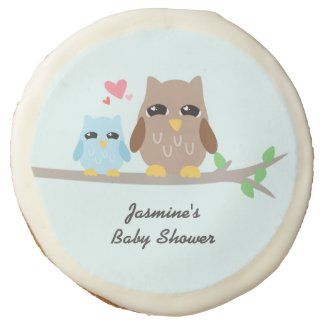 Cute Boy Baby Shower Owl Sugar Cookie