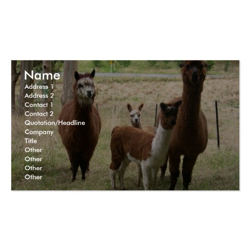 Cute Brown Alpacas In The Zoo Business Card (front side)