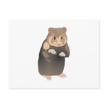 cute brown hamster postcards