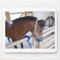 Cute brown pony mousepads by KanweieneaKreations Cute brown pony mousepads