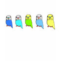 cute budgies t shirt
