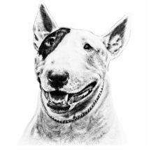 Cute Bull Terrier dog art Cut Outs