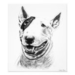 Cute Bull Terrier dog art Photograph