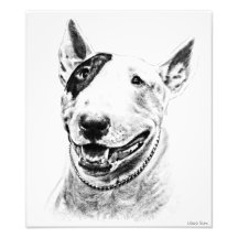 Cute Bull Terrier dog art Photograph