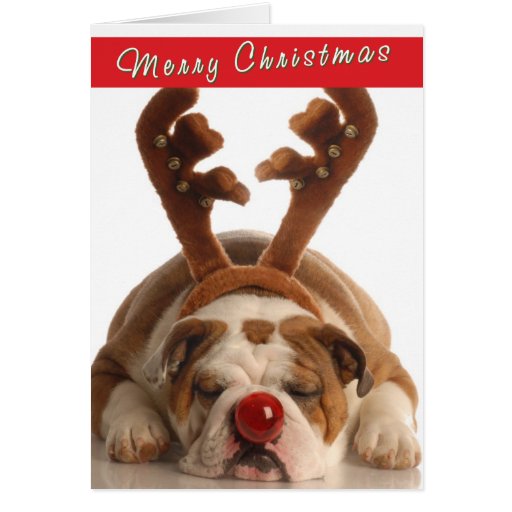 Bulldog Christmas Cards 