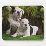 Cute Bulldog Puppy Dogs in Flowers Mousepad