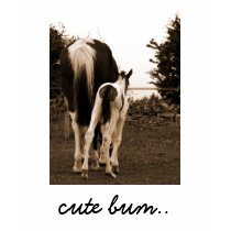 cute bum t-shirts