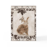 Cute Bunny Greeting Card