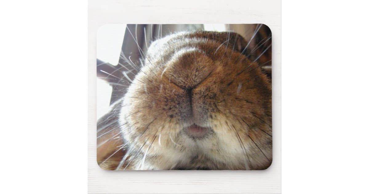 cute bunny lips and mouth mouse pad zazzle bunny baby shower invitations