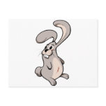 Cute Bunny Standing Up Right Postcards