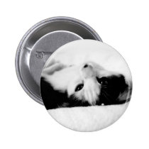 Cute buttons