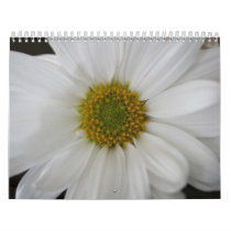 cute calendar