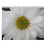 cute calendar