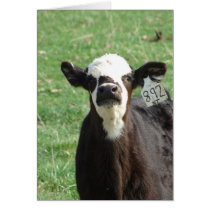 Cute Calf Card