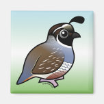Customizable California Quail Square Magnet