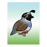 Customizable California Quail Postcard