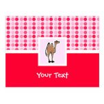 Cute Camel Post Cards
