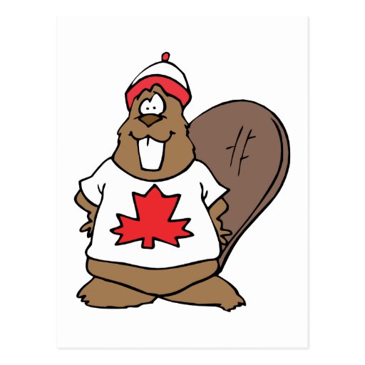 Cute Canadian Beaver Post Cards