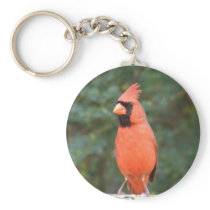 Cute Cardinal keychains