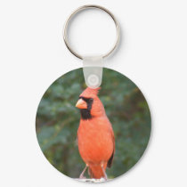 Cute Cardinal keychains