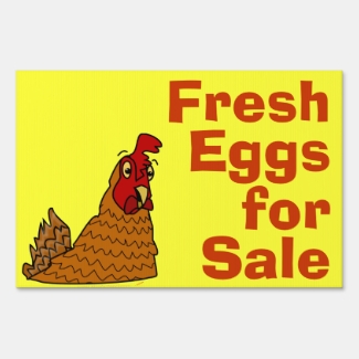 Cute Cartoon Chicken Fresh Eggs for Sale Custom
