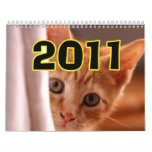 cute cat calendar  2011