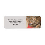 Cute cat custom return address label
