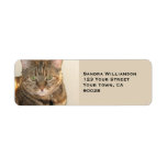 Cute cat custom return address labels