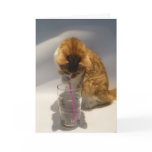 Cute Cat Drinking from Straw Happy Birthday Greeting Card