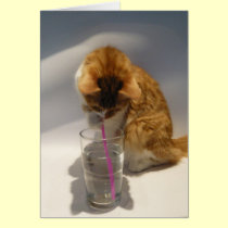 Cute Cat Drinking from Straw Happy Birthday cards