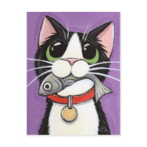 Cute Cat Eating A Fish Postcard