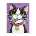 Cute Cat Eating A Fish Postcard