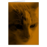 Cute Cat Face Cards