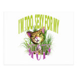 Cute cat funny comic art post card