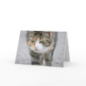 Cute Cat Greeting Card by flowercarole Cute Cat Greeting Card